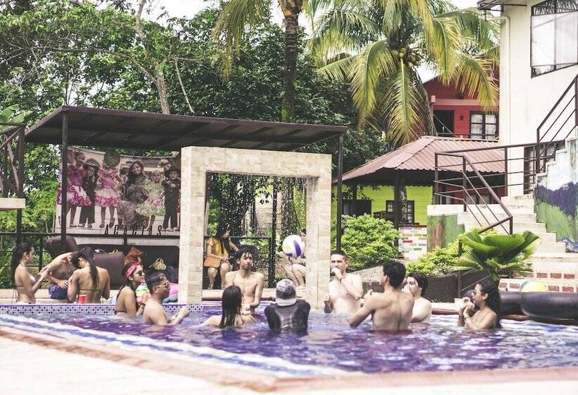 پانسیون New Western