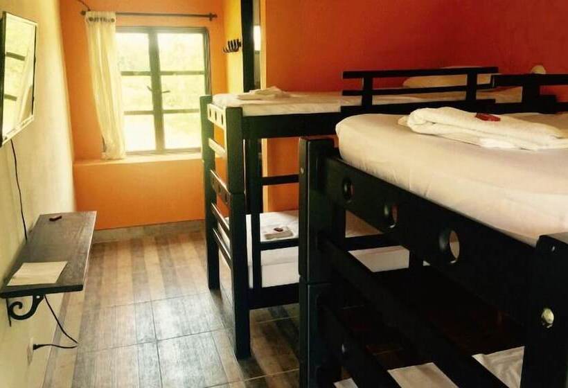 پانسیون New Western