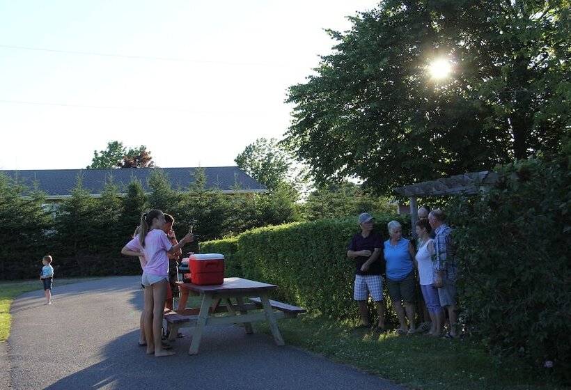 Avonlea Cottages