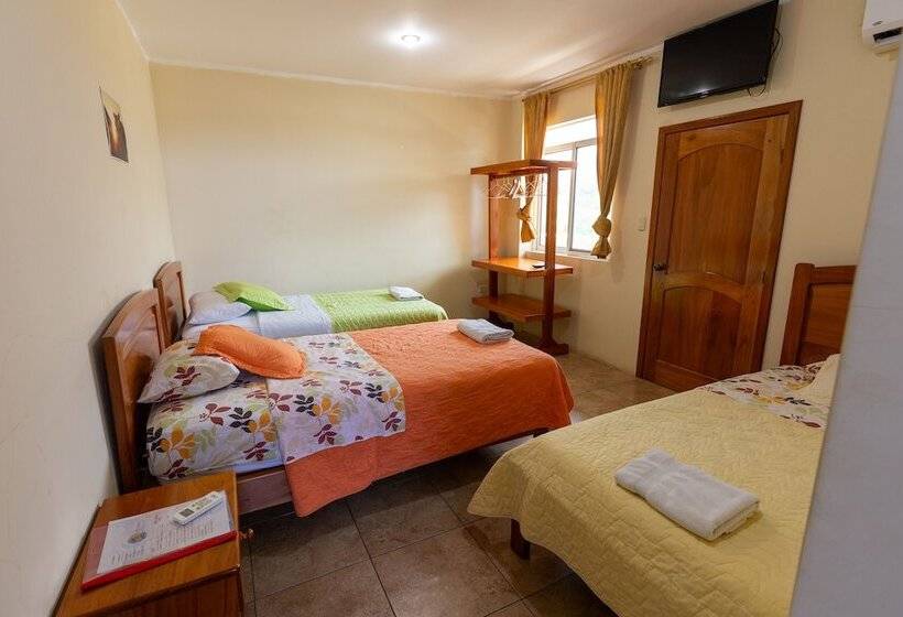 تختخواب و صبحانه Ariana´s Galapagos Hostal