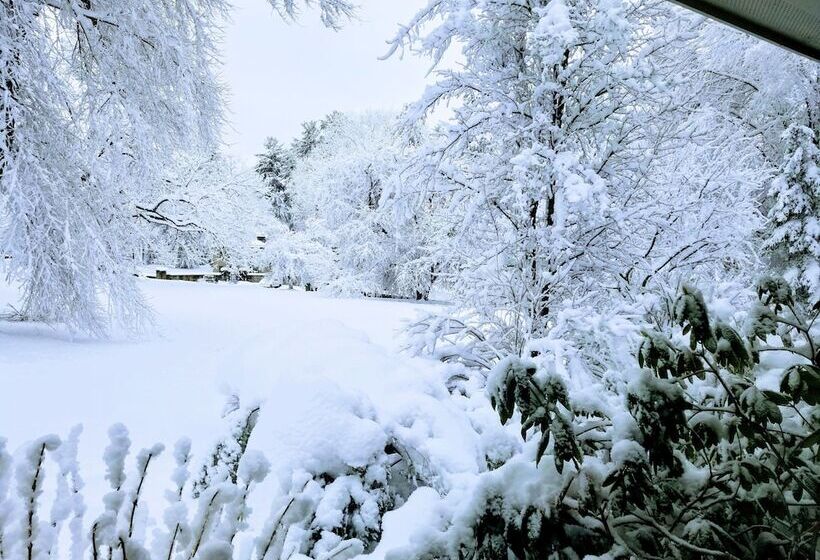 Journey Inn Bed & Breakfast