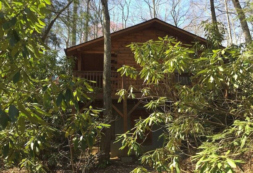 Misty Creek Log Cabins