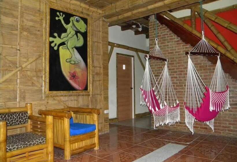 Morrison Hotel Montañita