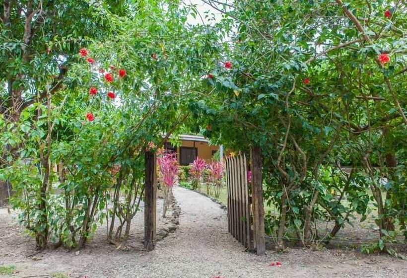 Nosara Beach Hostel