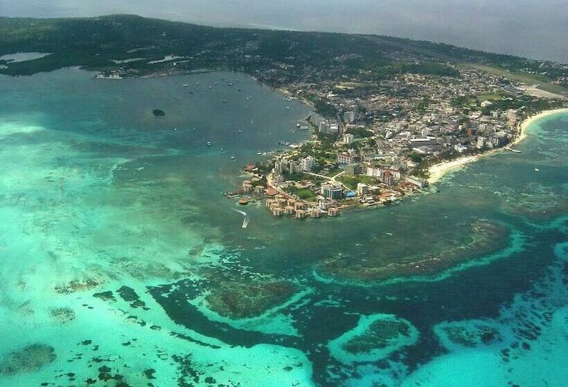 Posada Come So In The Bush