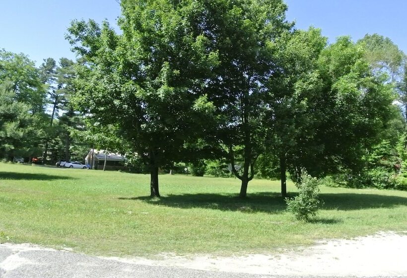 Gold Pine Inn Motel