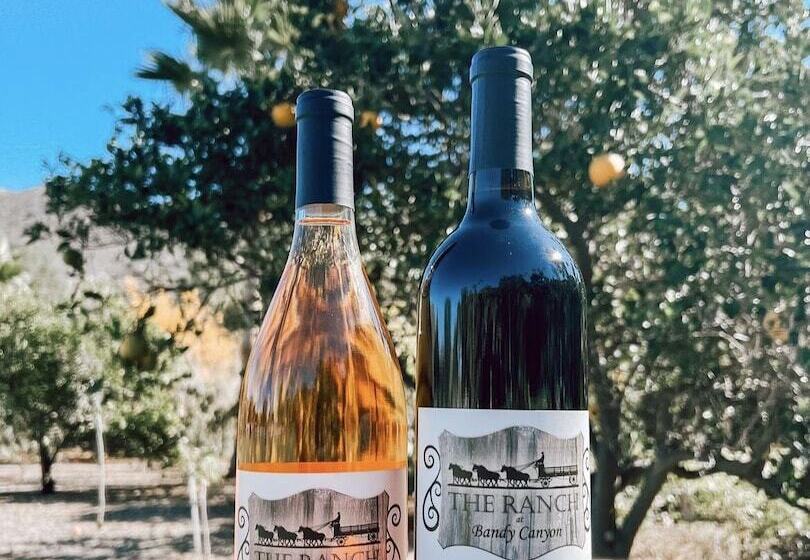 هتل روستایی Bandy Canyon Ranch