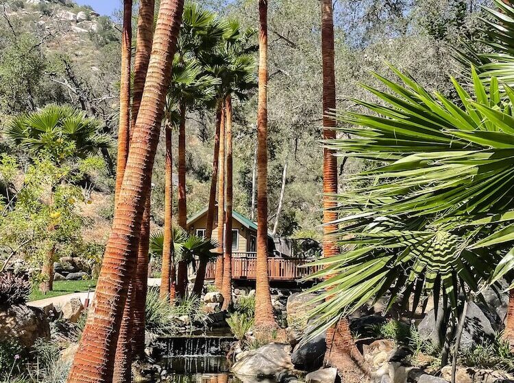 هتل روستایی Bandy Canyon Ranch