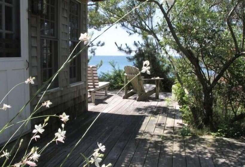 Lis Sur Mer
