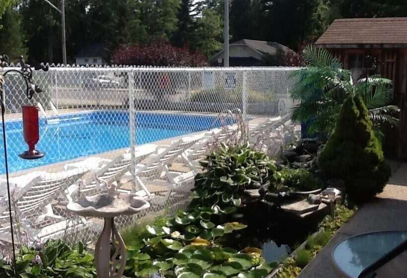 Albatross Motel