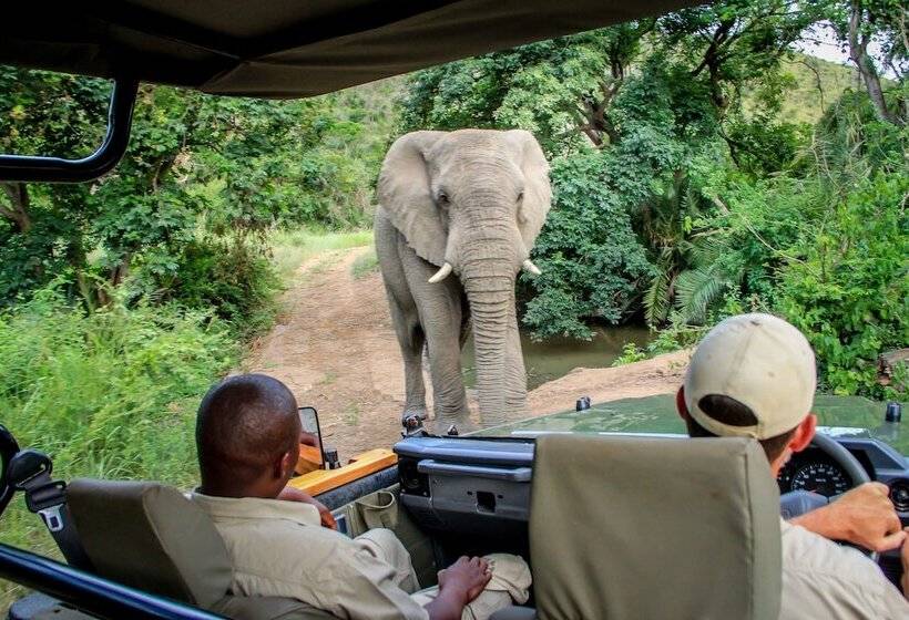 Отель Thula Thula Game Lodge
