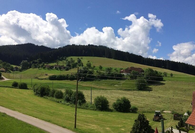 Bed and Breakfast Gasthof Richebächli