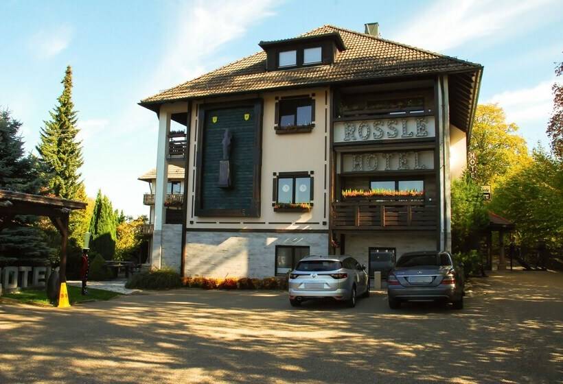 Отель Rössle