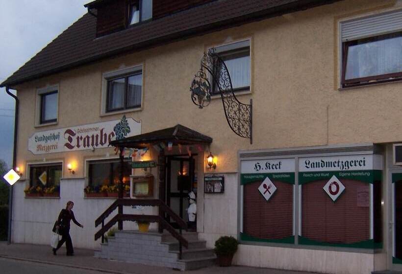 ペンション Landgasthof Traube