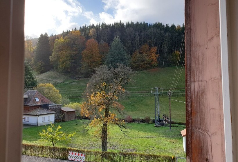 Пансион Luchs Hostel Im Hirschen