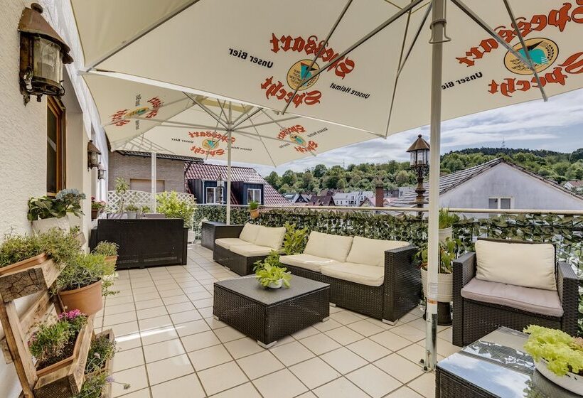 Bio Hotel Frankenhof Garni