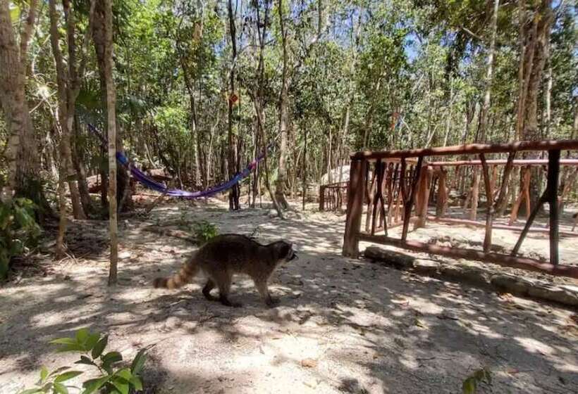 هتل Aldea Mayaha Cabanas Con Cenotes