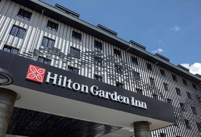 هتل Hilton Garden Inn Erzurum