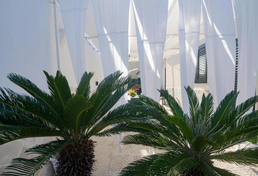 Bed and Breakfast Villa Alfonsina