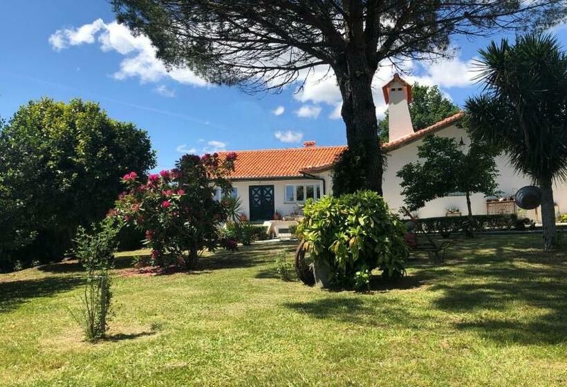 Casas Viriatus Turismo Rural