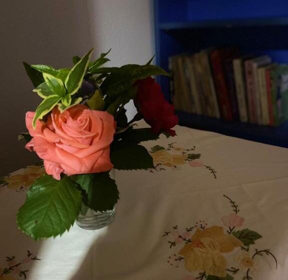 تختخواب و صبحانه Gather Inn Guest House