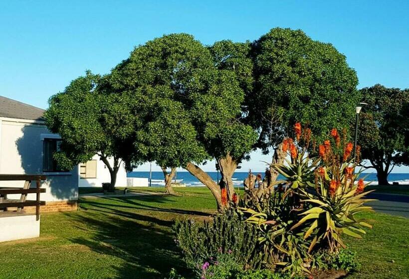 פנסיון 4 On Hoffman Seaview