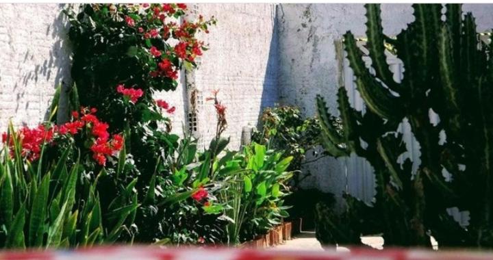 Pousada E Hostel Muiraquitã