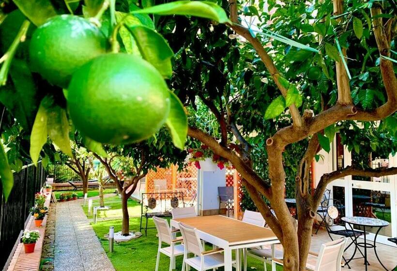 Bed and Breakfast Dimora Leone