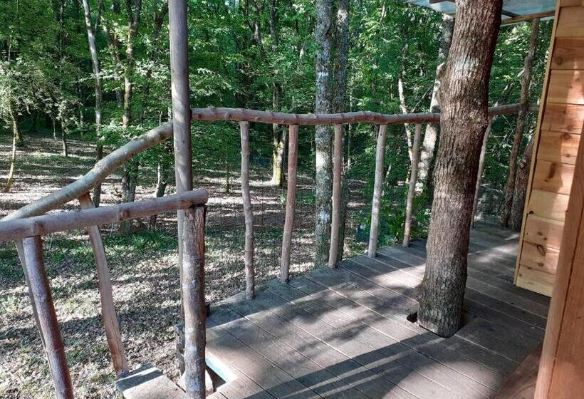 住宿加早餐  La Cabane De L Oiseau