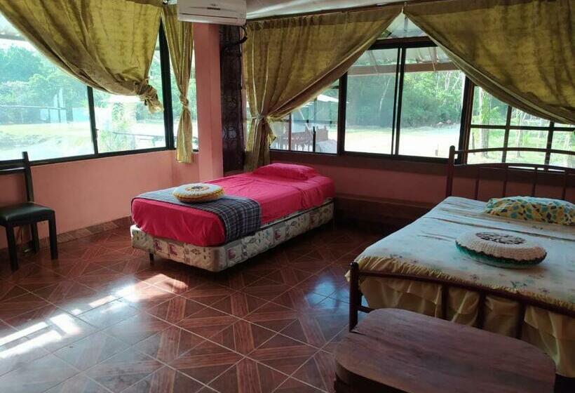 هاستل Grand Selva Lodge & Tours