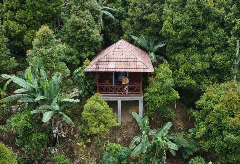 Munduk V View House