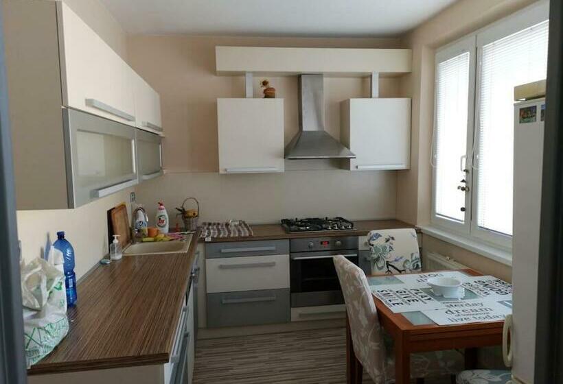 Zvolen Apartment /3 Izbový Byt