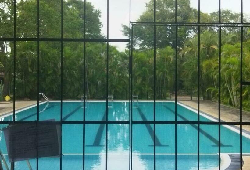 Bed and Breakfast Aanaya Holidays