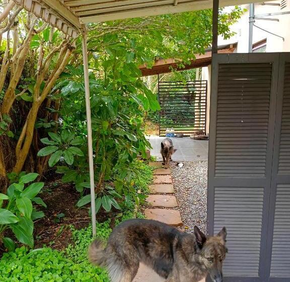 پانسیون 33 On Smuts Selborne