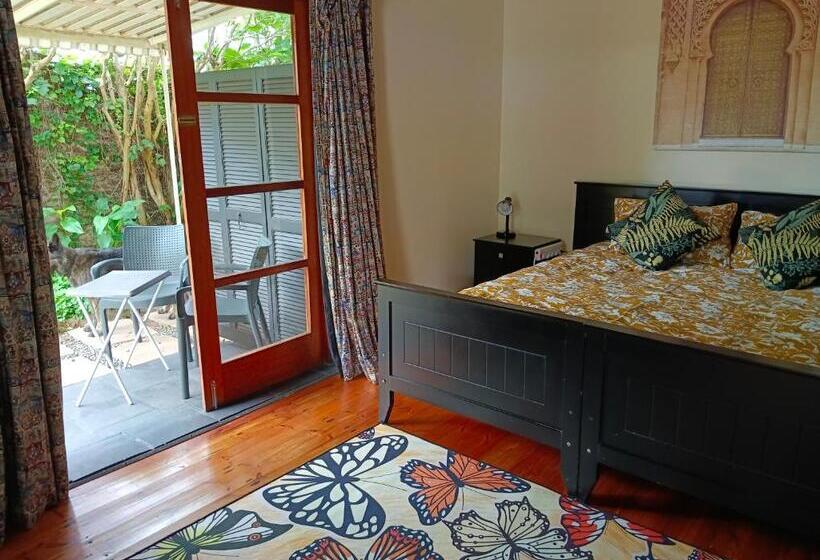 پانسیون 33 On Smuts Selborne