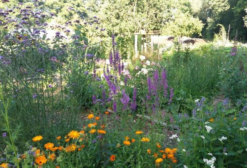 민박 De Geheime Tuin Huisje In T Groen