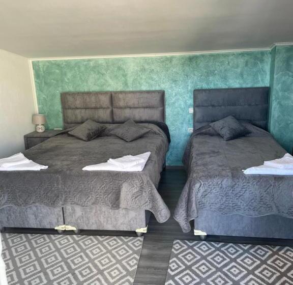 Пансион Casa Paraschiva