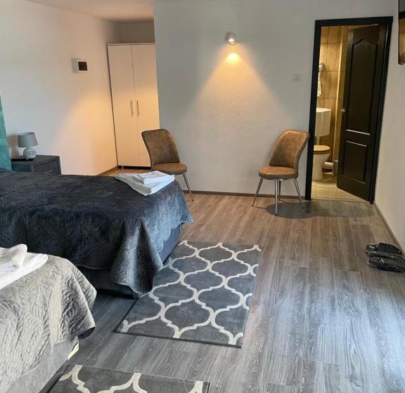 Пансион Casa Paraschiva