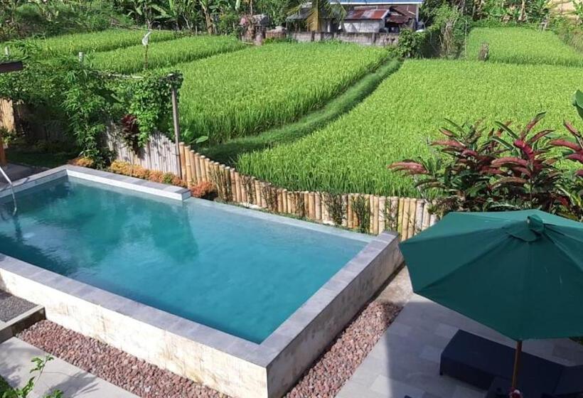 Пансион Room In Villa   The Champuhan Villa   Honeymoon Villa With Rice Field View