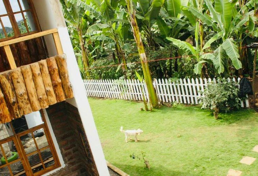 호스텔 Arusha Jua Home