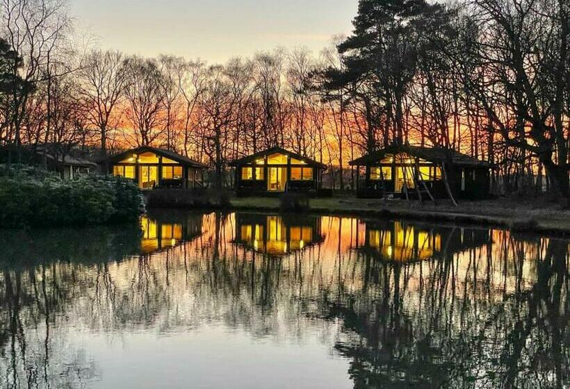 リゾートホテル Great Wood Lodges