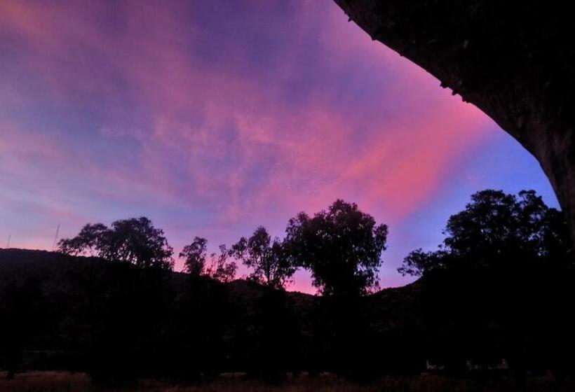 ベッドアンドブレックファースト Black Cottage