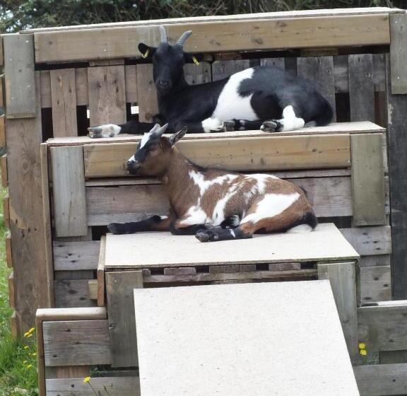 Bed and Breakfast Chambres D Hôtes Les Hauts Vents