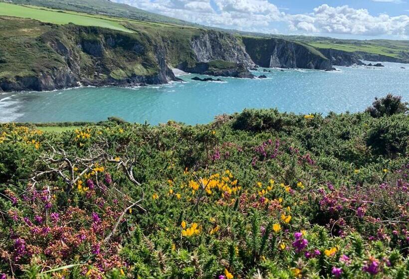 مبيت وإفطار Dylan Thomas Sea View