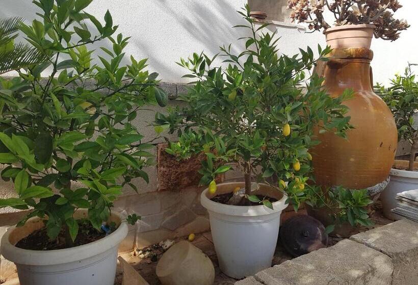 مبيت وإفطار Lemon Suite Luxury