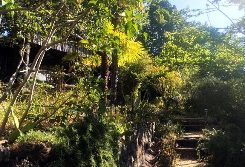 펜션 Les Jardins D Arbousse