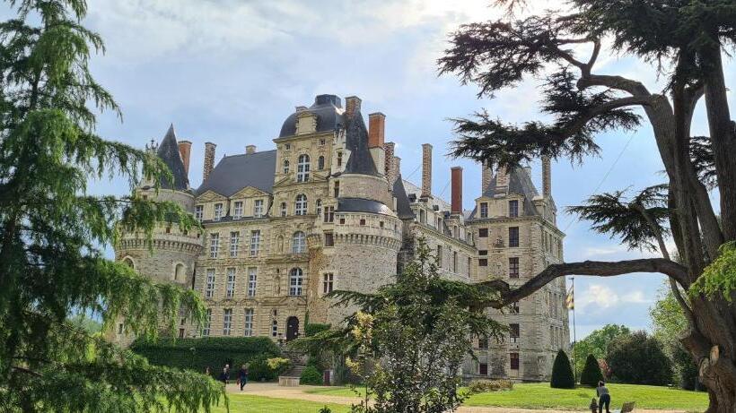 مبيت وإفطار Confidences Escale à Brissac