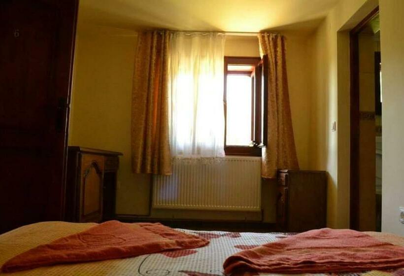 Пансион Casa Din Barsana