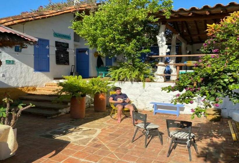 Tree Of Life Hostel