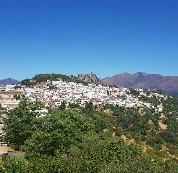 پانسیون Hostal Moncada